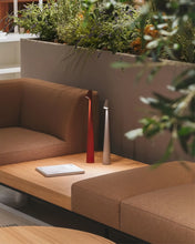 Load image into Gallery viewer, Stem Illumniator Table Lamp