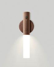 Load image into Gallery viewer, TWIN SMART BATON LIGHT