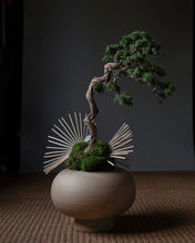 Load image into Gallery viewer, Kabin Vase, Dezato - Sand