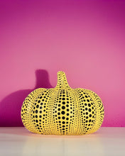 Load image into Gallery viewer, The Polka Pumpkin