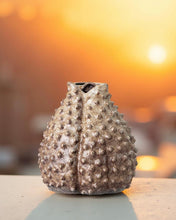 Load image into Gallery viewer, The Unique Vase