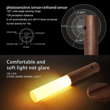 Load image into Gallery viewer, TWIN SMART BATON LIGHT