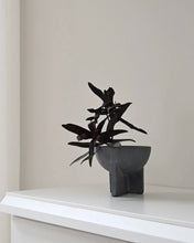 Load image into Gallery viewer, Osaka Bowl, Mini - Dark Grey