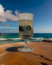 Load image into Gallery viewer, Drink Rocks " Ice Replacement "