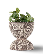 Load image into Gallery viewer, TINA VAIA - Chubby Planter