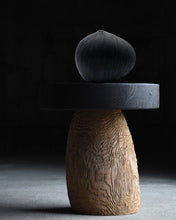 Load image into Gallery viewer, The Bloom Noir Vase