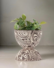 Load image into Gallery viewer, TINA VAIA - Chubby Planter
