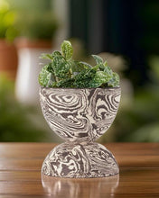 Load image into Gallery viewer, TINA VAIA - Chubby Planter
