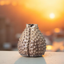 Load image into Gallery viewer, The Unique Vase
